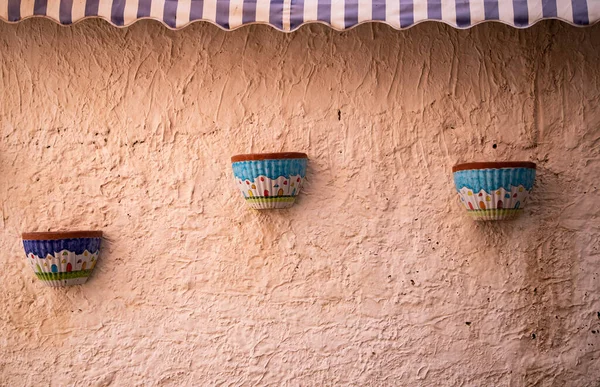Pots Fleurs Sur Mur Coloré — Photo