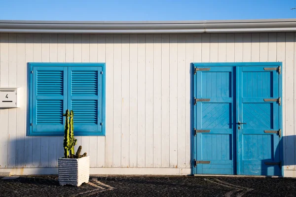 Kaktuszok Fehér Ház Kék Ablakok — Stock Fotó