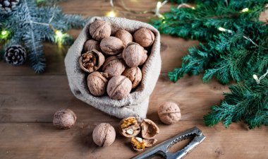 Şenlikli Noel fındıkları çuval bezinden yuvarlanıyor.