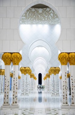 Abu Dabi Birleşik Arap Emirlikleri 'ndeki Şeyh Zayed Büyük Camii' nin detayları.