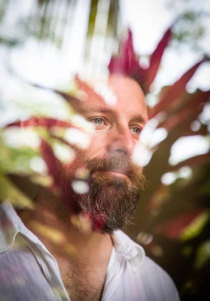 熱帯植物の心の健康を映し出す窓から見るハンサムな男 — ストック写真