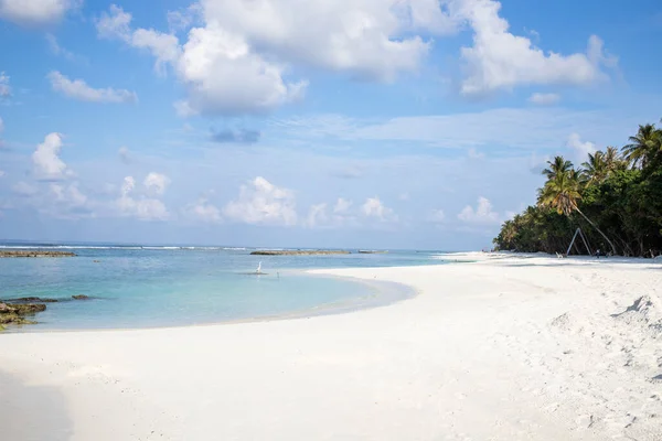 Incredibile Isola Tropicale Con Palme — Foto Stock