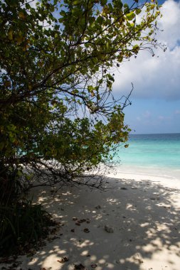 Plaj sandalyeleri güzel tropik sahilde