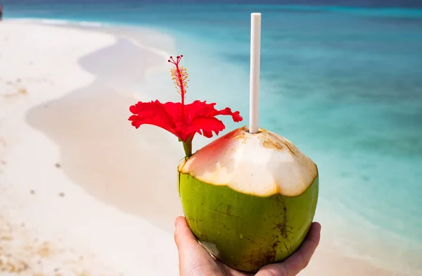 woman holding coconut on tropical beach