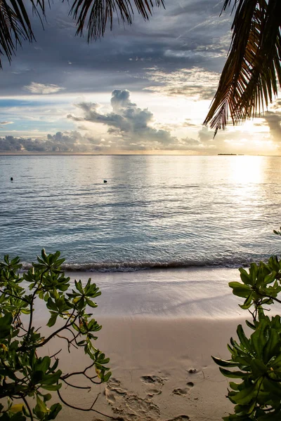 stock image amazing sunset over the sea on a tropical island