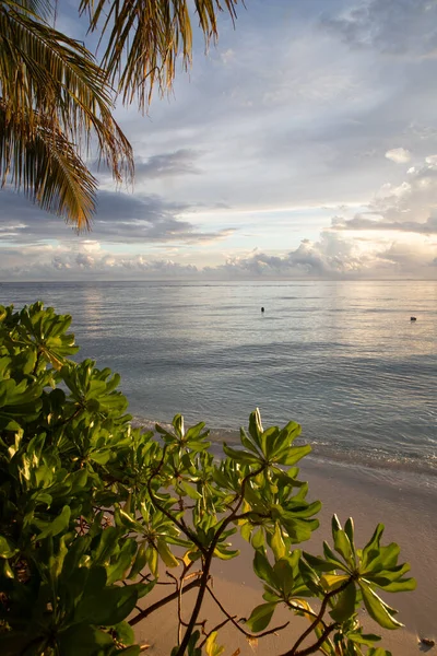Incrível Pôr Sol Sobre Mar Uma Ilha Tropical — Fotografia de Stock