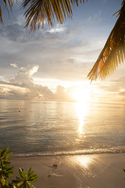 熱帯の島の海に沈む素晴らしい夕日 — ストック写真
