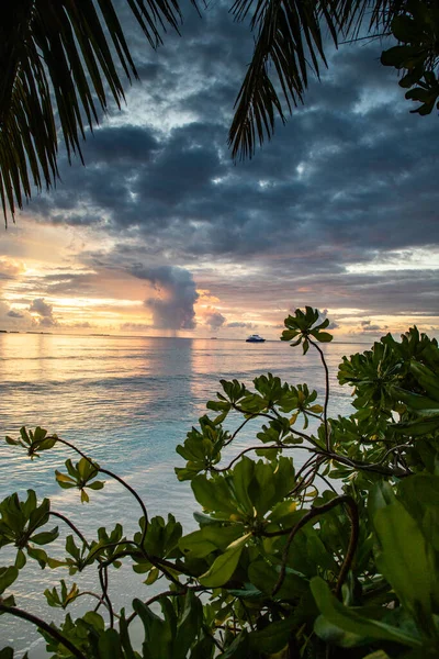 Incredibile Tramonto Sul Mare Isola Tropicale — Foto Stock