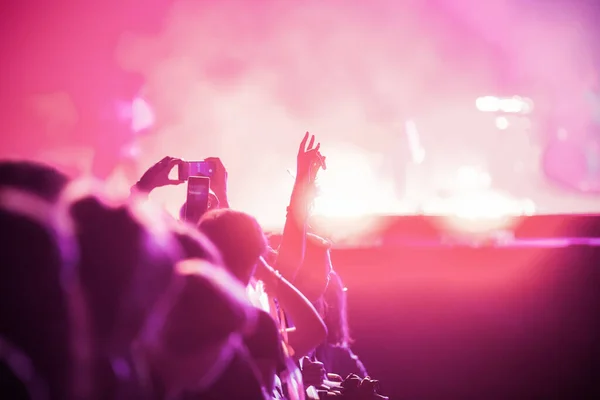 Crowd Partying Stage Lights Live Concert Summer Music Festival — Fotografia de Stock