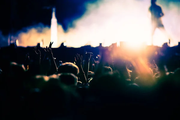 Menigte Feesten Podium Lichten Live Concert Zomer Muziek Festival — Stockfoto