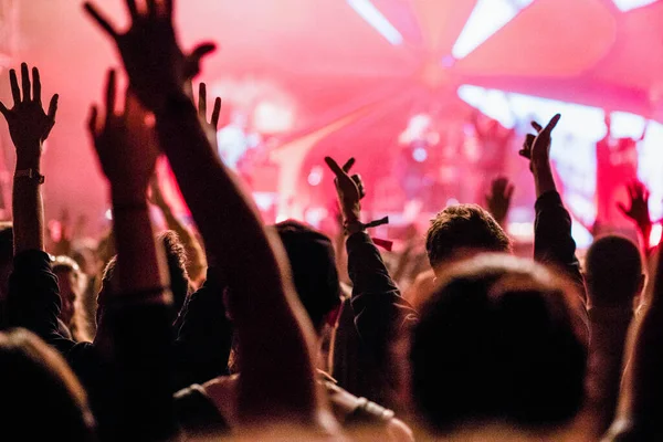Crowd Concert Summer Music Festival — Stock Photo, Image