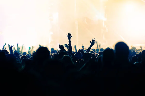 Publikum Beim Konzert Sommermusikfestival — Stockfoto