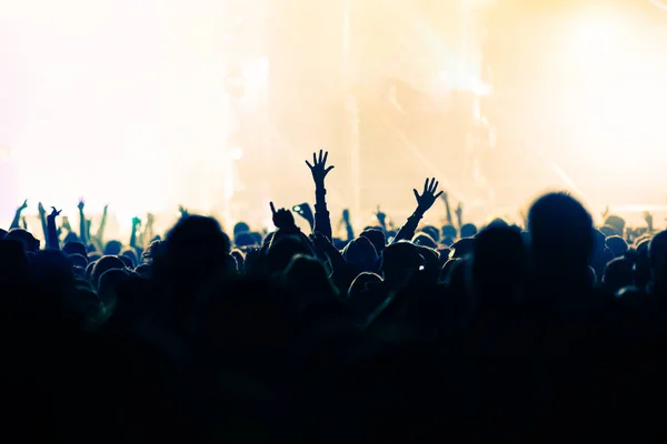 Crowd Concert Summer Music Festival — Stock Photo, Image