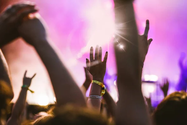Crowd Live Concert Music Festival — Stock Photo, Image