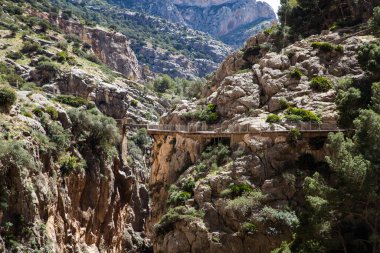 Caminito Del Rey Yolu Endülüs 'te