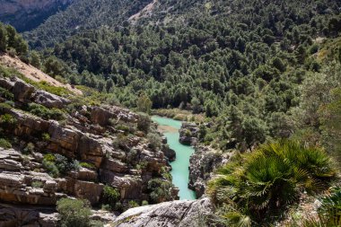 Caminito Del Rey Yolu Endülüs 'te