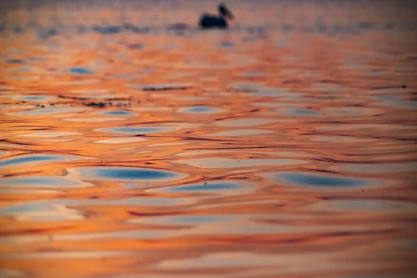 Abstrakter Hintergrund Der Wellen Bei Sonnenuntergang — Stockfoto
