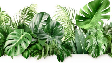 tropical leaves foliage on white Generative AI clipart