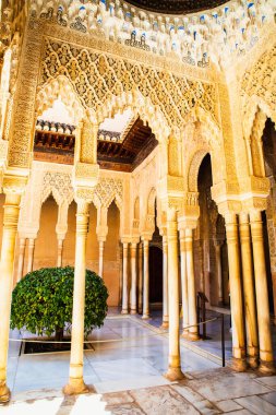 Antik Arap kalesi Alhambra Granada İspanya