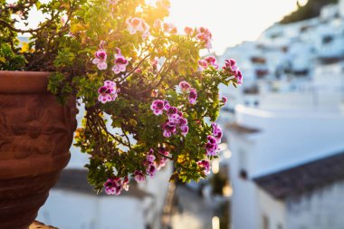 Mijas 'ın pitoresk köyü. Costa del Sol, Endülüs, İspanya