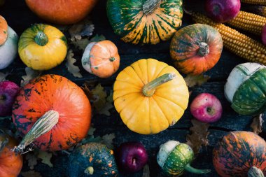 Sonbahar Şükran Günü kartında balkabakları