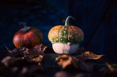 Sonbahar Şükran Günü kartında balkabakları