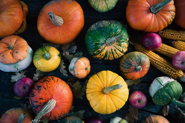 Kürbisse Herbst Erntedank Karte — Stockfoto