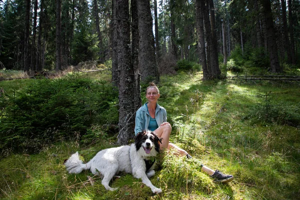 Женщина Отдыхает Сосновом Лесу Собакой — стоковое фото