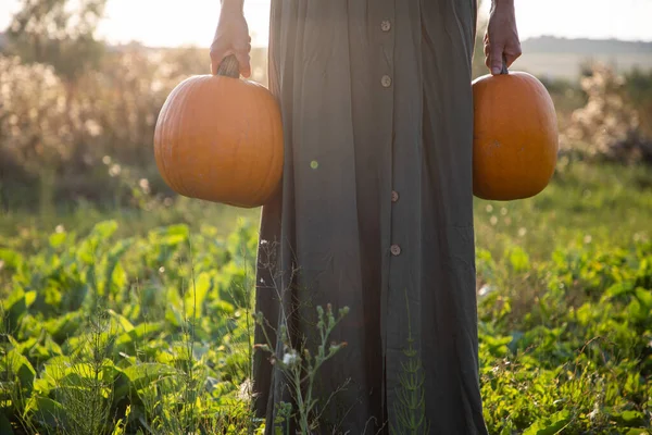 Donna Che Tiene Zucche Halloween — Foto Stock
