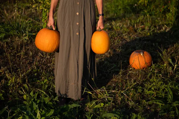 Donna Che Tiene Zucche Halloween — Foto Stock