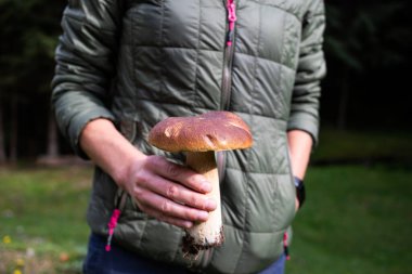Ormanda güzel Boletus Edulis toplayan bir kadın.