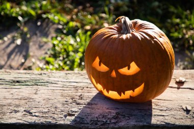 Ürkütücü Jack 'o' Lantern Cadılar Bayramı Balkabağı