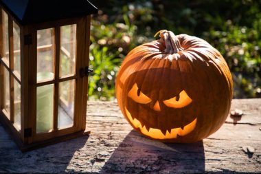 Ürkütücü Jack 'o' Lantern Cadılar Bayramı Balkabağı