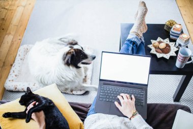 Noel 'de evde köpek kızartıcısı olan bir kadın.