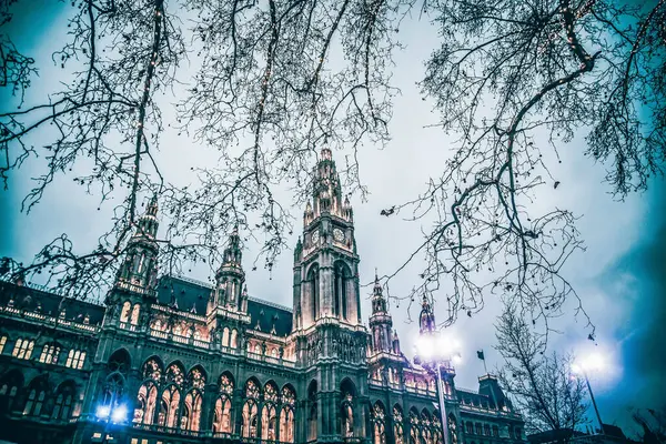 Vienna Town Hall Park Decorated Christmas — Stock Photo, Image