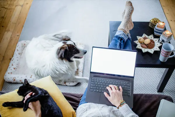 stock image woman at home with dog hygge at Christmas time