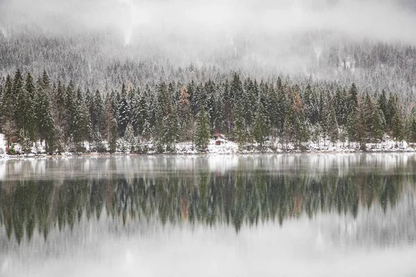Kış Karlarında Sisli Göl — Stok fotoğraf