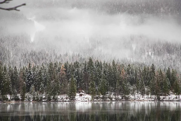 冬の雪の霧の湖 — ストック写真