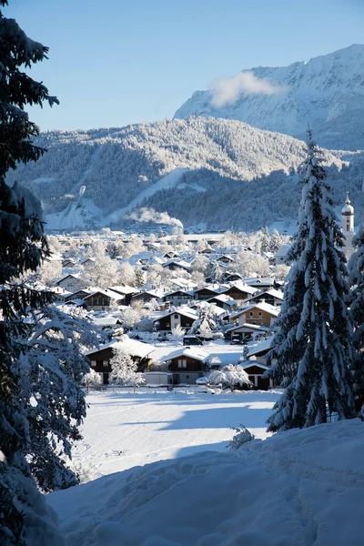Winterliche Berglandschaft Den Alpen Mit Schneebedeckten Tannen — Stockfoto