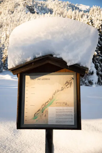 Invierno Paisaje Montaña Los Alpes Con Abetos Cubiertos Nieve —  Fotos de Stock