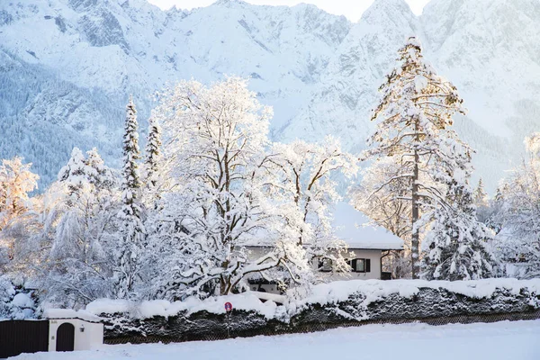 Χειμωνιάτικο Ορεινό Τοπίο Στις Άλπεις Χιονισμένα Έλατα — Φωτογραφία Αρχείου