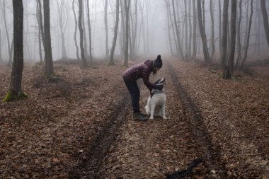 Karamsar sisli ormanda köpekli bir kadın