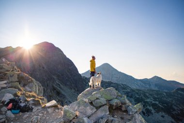 Beyaz köpekli kadın yaz manzarasında dağın tepesinde oturuyor yavaş seyahat ve özgürlük kavramı
