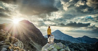 Beyaz köpekli kadın yaz manzarasında dağın tepesinde oturuyor yavaş seyahat ve özgürlük kavramı