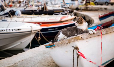Gündoğumunda bir Yunan adasında tekne