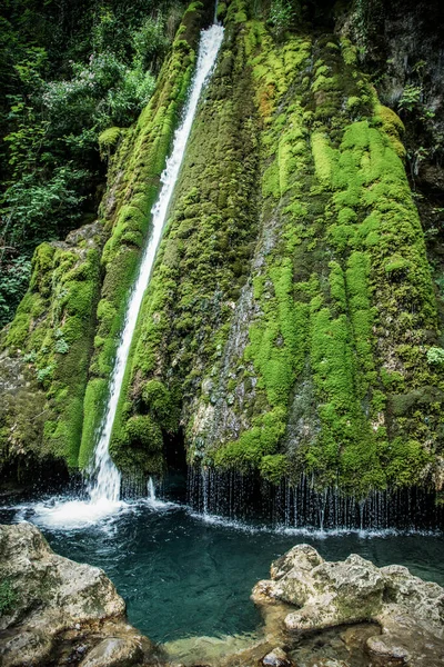 beautiful green waterfall in summer