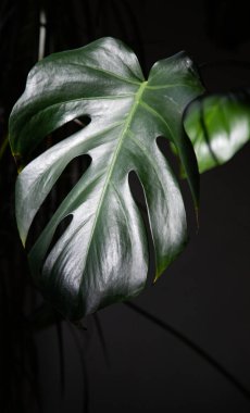 Paskalya tavşanı şeklinde peçeteye sarılmış yumurta. 