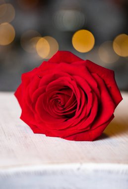 Sevgililer Günü arka planı için kırmızı gül