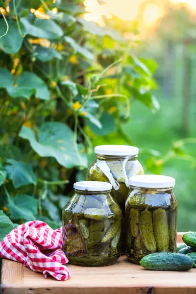 Pickled Cucumbers Winter Organic Food — Stock Photo, Image