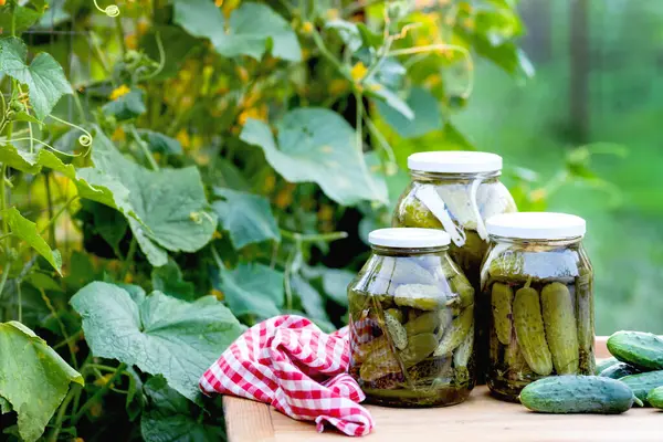 Pickled Cucumbers Winter Organic Food — Stock Photo, Image